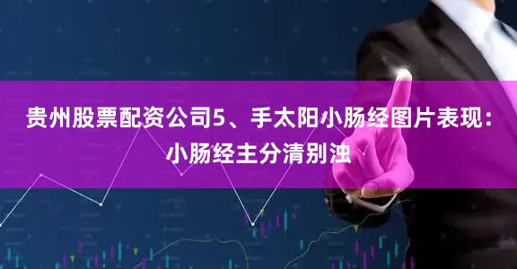 贵州股票配资公司5、手太阳小肠经图片表现：小肠经主分清别浊