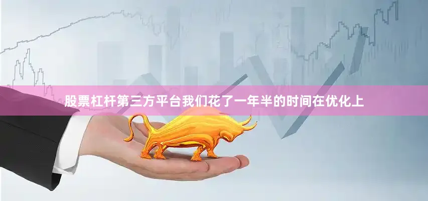 股票杠杆第三方平台我们花了一年半的时间在优化上